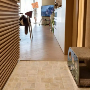 ������Ϲ�����ֵ�5��װ����ƣ�ʡǮ�����ã�Ԥ�㲻������հ�